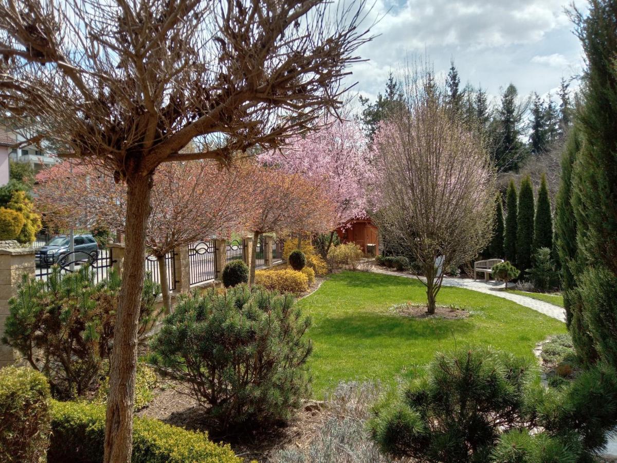 Goscinne Monti Homestay Kudowa Zdroj